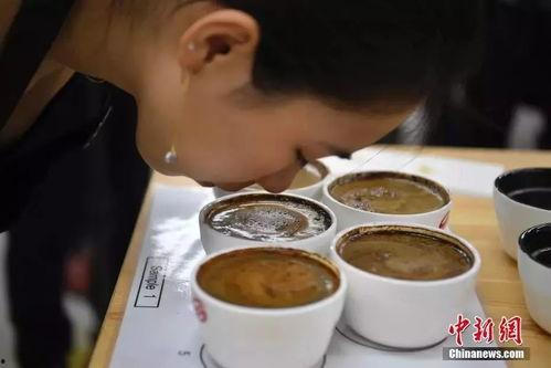 云南咖啡爆料视频播放,揭秘爆火视频背后的魅力与故事 第2张 云南咖啡爆料视频播放,揭秘爆火视频背后的魅力与故事 第2张